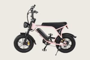 E-Bike 1000 – V8 PANDA GARUPA