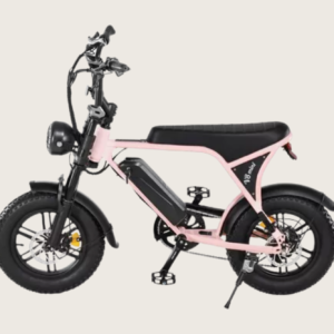 Mini Bicicleta Elétrica Panda V8 Garupa 750w E-bike